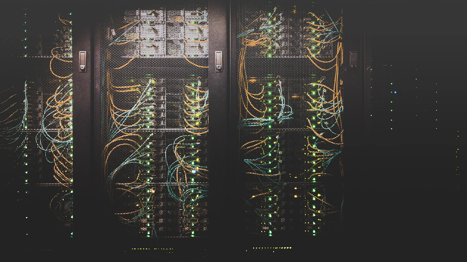 Cables de red conectados a un servidor de hosting